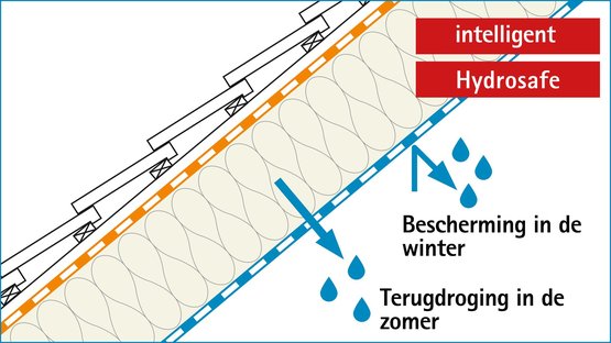 (Jaarge-)Tijdloze intelligentie